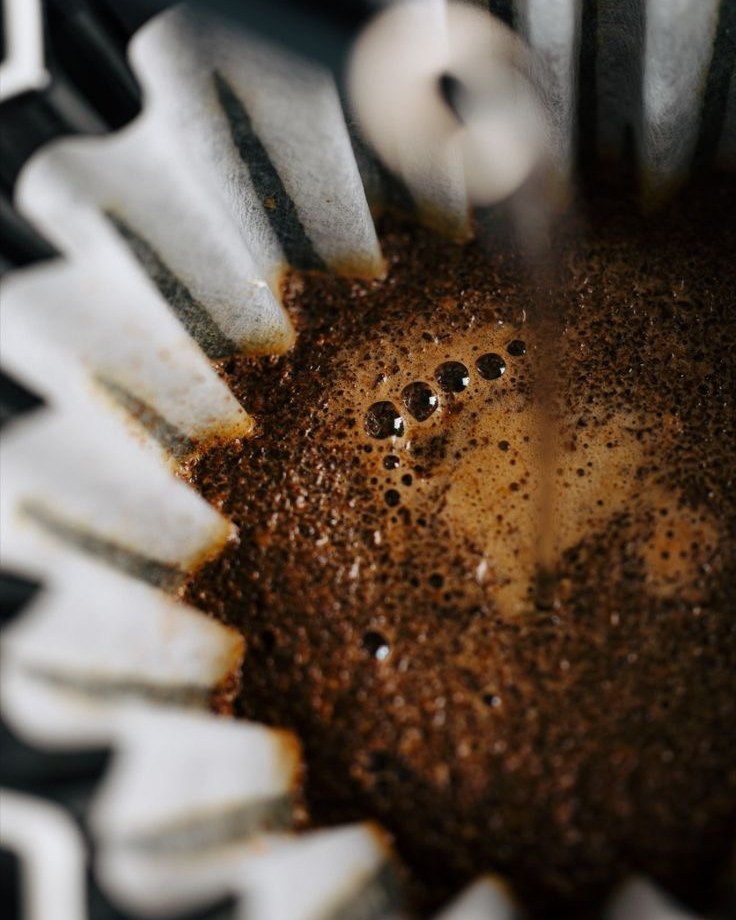 Café especial moído no filtro de papel, com bolhas da extração